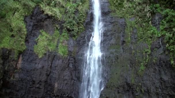 Fautaua Waterfall in French Polynesia on Tahiti Island. — Stock Video