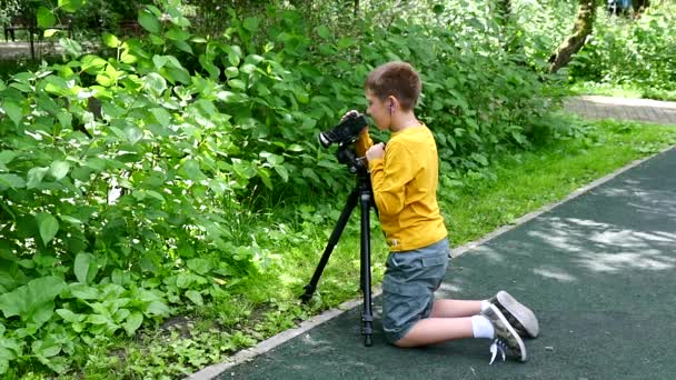 Young boy looks into video shoots movie about nature on green park slow motion. — Stock Video