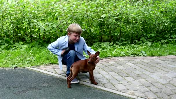Мальчик с собакой на фоне зеленого парка . — стоковое видео