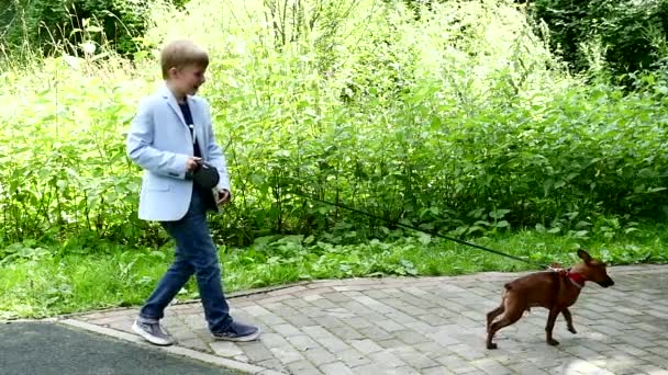 Young boy with dog in green park background slow motion. — Stock Video