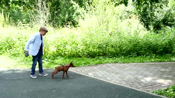 緑豊かな公園の背景スローモーションで犬の少年. — ストック動画