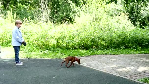 Ung pojke med hund i grön park bakgrund slow motion. — Stockvideo