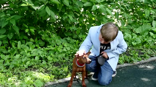 Ung pojke med hund i grön park bakgrund slow motion. — Stockvideo
