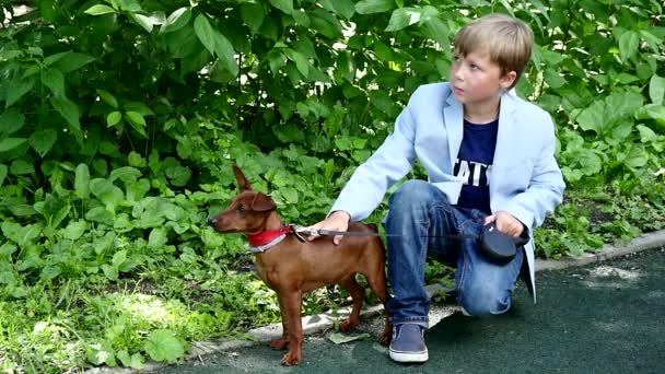 Young boy with dog in green park background slow motion. — Stock Video