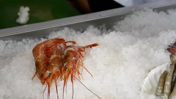 Hände des Kochs überlagern frische Garnelen auf Eis in einem Fischrestaurant. — Stockvideo