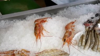 Aşçı eller üst üste buz bir deniz ürünleri restoranı taze karides.