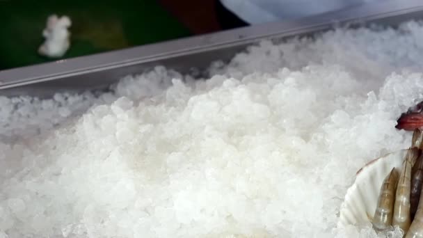 Manos del cocinero superponen camarones frescos sobre hielo en un restaurante de mariscos . — Vídeo de stock