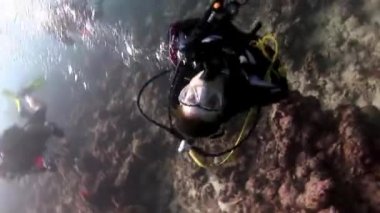 Scuba diver derin sualtı Yüzme.