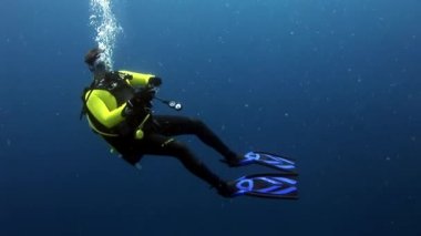 Scuba diver derin sualtı Yüzme.
