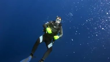 Scuba diver derin sualtı Yüzme.