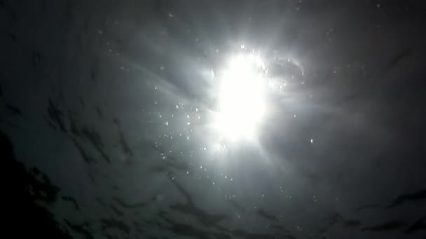 Αντανάκλαση του ήλιου δείτε υποβρύχια εκπληκτικό φόντο σε Μαλδίβες. — Αρχείο Βίντεο