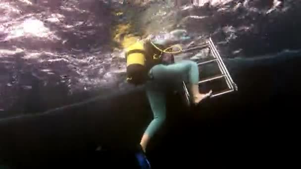 Scuba diver gets up on dive deck rises climbs stairs from water to boat. — Stock Video