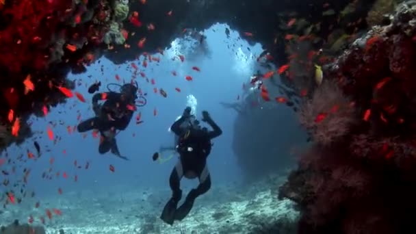 Scuba diver diep onderwater zwemmen. — Stockvideo