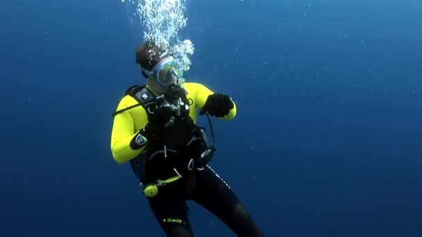 Scuba diver, pływanie głęboko pod wodą. — Wideo stockowe