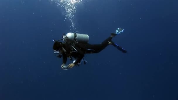 モルディブ 2010 深い水中スイミング スキューバ ダイバー サンゴ礁や藻のカラフルな美しい野生動物の世界 リラックスとプライバシー 深海ダイビング — ストック動画