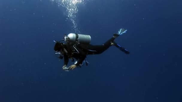 Maldiven Oktober 2010 Scuba Diver Diep Onderwater Zwemmen Wereld Van — Stockvideo