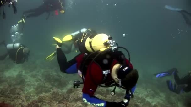 Taucher schwimmen tief unter Wasser. — Stockvideo