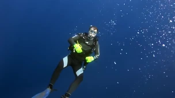 Dykare simmar djupt under vattnet. — Stockvideo