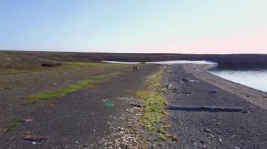 Issız Vaygaç adada Arktik Okyanusu çöl içinde.