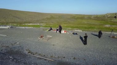 Çöl ıssız Vaygaç adada.