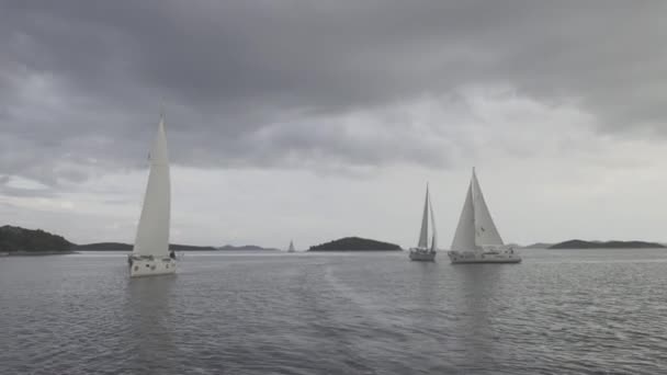 Λευκά γιοτ συμμετέχουν στην regatta στο φόντο του γκρι ουρανού στον ωκεανό. — Αρχείο Βίντεο