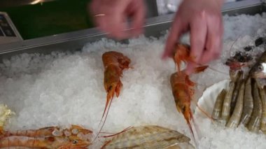 Aşçı eller üst üste buz bir deniz ürünleri restoranı taze karides.
