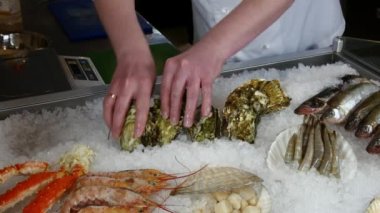 Aşçı eller üst üste buz bir deniz ürünleri restoranı taze istiridye. Yemek pişirmek için yemek tarifleri.