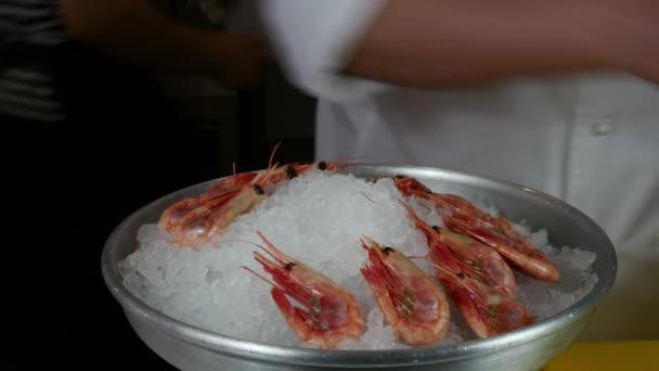 Hände des Kochs überlagern frische Garnelen auf Eis in einem Fischrestaurant. — Stockvideo