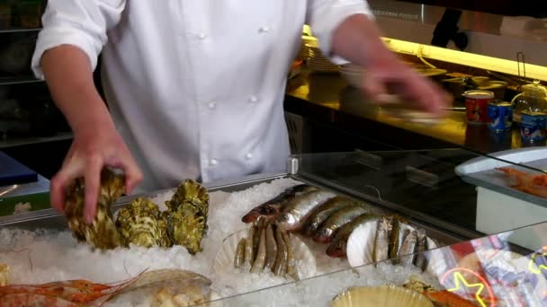 Las manos del cocinero superponen ostras frescas sobre hielo en un restaurante de mariscos . — Vídeos de Stock