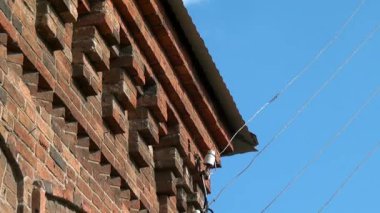 Bina, Nicholas II yakınları önce onların yürütme içeren.