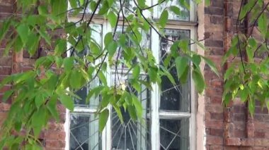 Windows Müzesi anma temsilcileri Rus İmparatorluk ev.