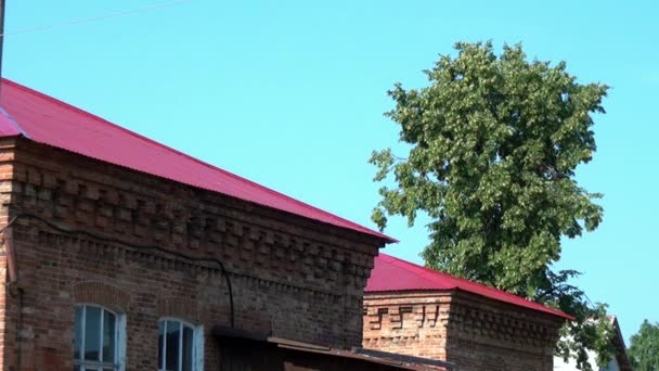 Building, which contained relatives of Nicholas II before their execution. — Stock Video