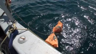 Yeni Zelanda'da dalgalar okyanus arka planda balıkçılık.
