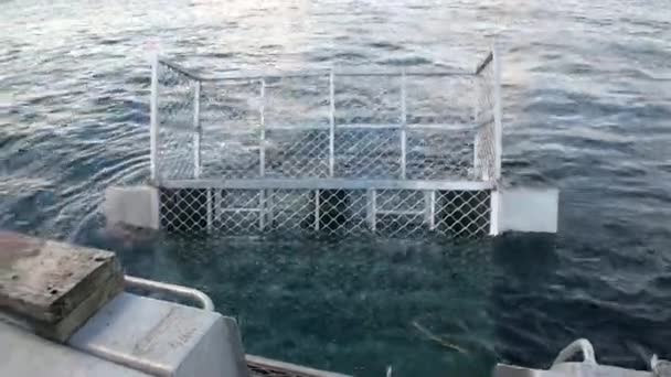 Cage de boîte de pêche dans l'océan et l'homme sur fond de navire des vagues en Nouvelle-Zélande . — Video