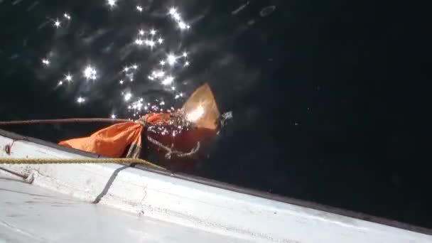 Rybolov v pozadí oceán vln na Novém Zélandu. — Stock video