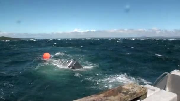 Caja de pesca jaula en el fondo oceánico de las olas en Nueva Zelanda . — Vídeo de stock