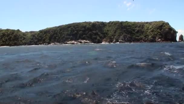Barco de pesca no fundo do oceano de ondas e montanhas verdes na Nova Zelândia . — Vídeo de Stock