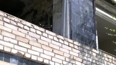 Airsoft silahı ile askeri üniformalı oyuncuların bir konuma gidin.