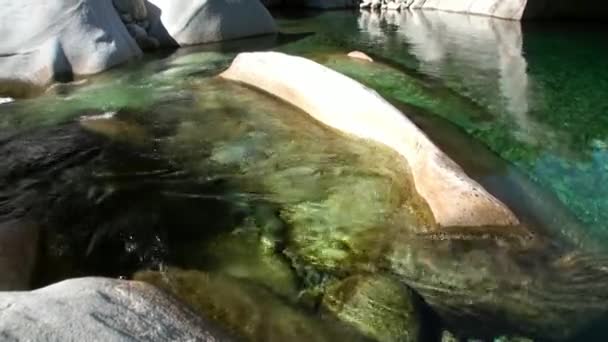 L'acqua scorre tra pietre enormi in valle del fiume di montagna Verzasca. — Video Stock