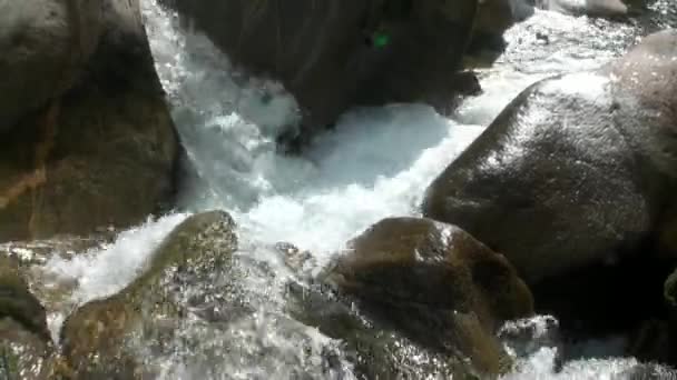 Сила воды горной реки Верзаска в долине Швейцарских Альп . — стоковое видео
