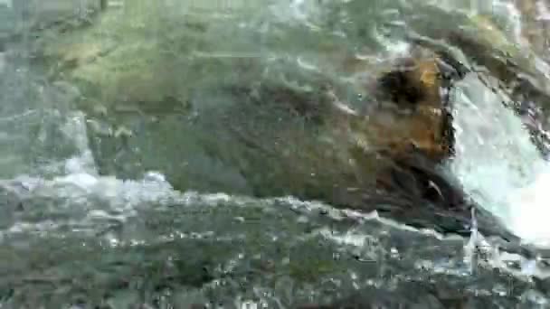 Poder de água de rio de montanha Verzasca em vale de alpes suíços . — Vídeo de Stock