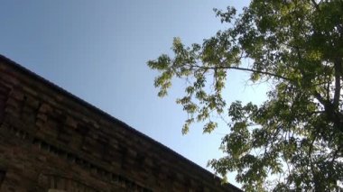 Bina, Nicholas II yakınları önce onların yürütme içeren.
