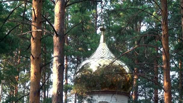 Cupola di Gilt di monasterodi Nuovi Martiri all'atto di morte di luogo di Romanov. — Video Stock