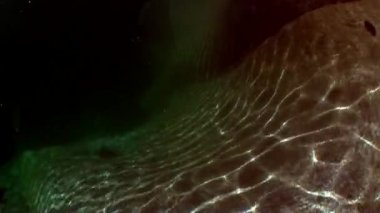 Kırılma Nehri'nin Verzasca pürüzsüz taş su altında güneş ışığı.