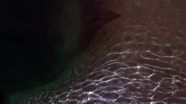 Refracción de la luz solar bajo el agua sobre piedras lisas del río Verzasca . — Vídeos de Stock