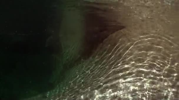 Réfraction de la lumière du soleil sous l'eau sur les pierres lisses de la rivière Verzasca . — Video
