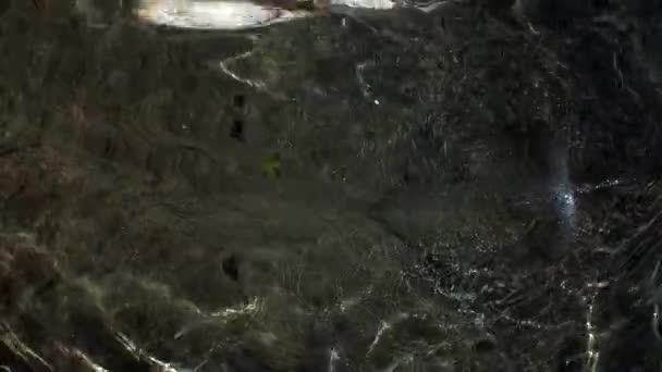 Преломление солнечного света под водой на гладких камнях реки Верзаска . — стоковое видео