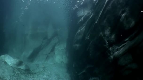 Paisaje submarino de montaña turquesa cristalina río Verzasca . — Vídeo de stock