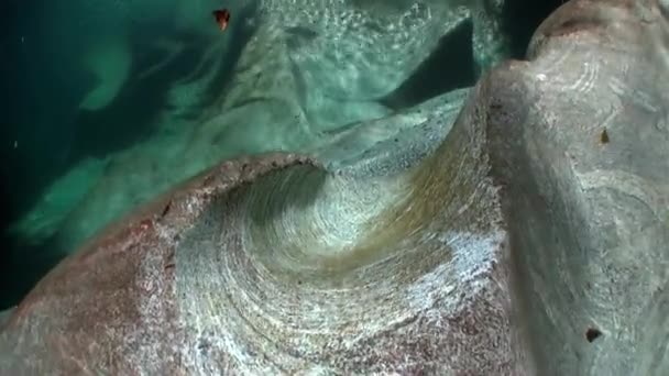 Pedras lisas enormes e rochas subaquáticas de rio turquesa claro Verzasca . — Vídeo de Stock