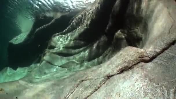 D'énormes pierres lisses et des roches sous l'eau de la rivière turquoise claire Verzasca . — Video